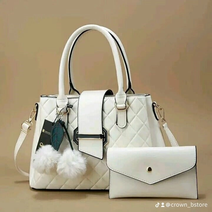 2 in 1 office bags